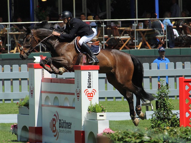 家庭冰雪日 家庭冰雪日