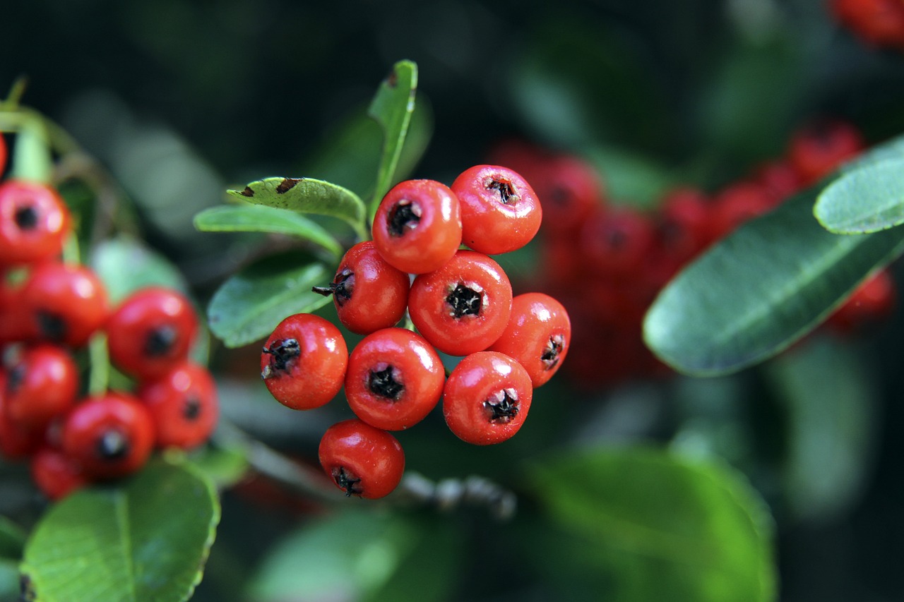 仅是赛场上 仅是赛场上